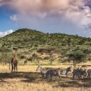 이동공원1 이미지