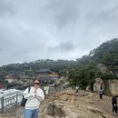 롯데부산UGG 이미지