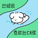 해피애견타운강아지분양서울본점 말티푸 미니비숑프리제 포메 이미지