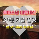 롬샷 | [유럽 신혼여행] 30분 가성비 좋은 커플 로마스냅 내돈내산 추천 :: 롬샷 체리작가님