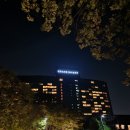 그랜드하얏트 서울 호텔 호캉스 내돈내산 후기/ 침대, 화장실, 어메니티, 남산뷰 호텔