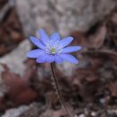 사기막골(2) 이미지