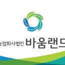 바움 Daum카페