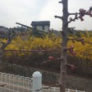 (주)다투어