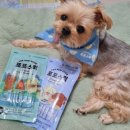 포포(For paw) 이미지