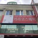 카라코스메틱 이미지