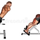 Body Master Gym 이미지