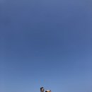 롱비치민박 이미지