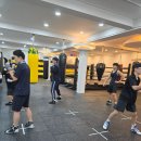 WJ복싱클럽 연천점 이미지