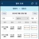 청춘바다 이미지