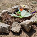 다은어린이집 이미지