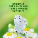 씨앗사랑 이미지