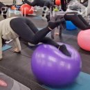 피지오짐 이미지