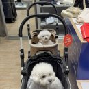 신장동로 140번길 이미지