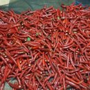 산정농장 이미지