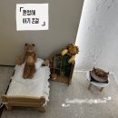 굿나잇커피앤북(Good Night coffee&Book) | 충주 북카페 책과 커피가 공존하는 조용한 공간 | 굿나잇커피앤북