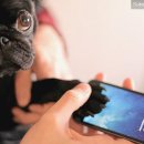 개발바닥 이미지