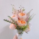 줄리엣로즈 이미지