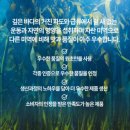 황금물산 네이버블로그