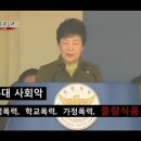 도니도니 이미지