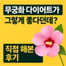 (주)무궁화식품 | 무궁화 다이어트가 그렇게 좋다던데? 직접 해본 후기와 놀라운 변화 공개!