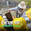 서울특별시중부공원여가센터 | 양봉체험 중부공원 여가 센터 꿀벌 수업