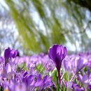 은아영재어린이집 이미지