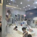 리틀즈 티스토리