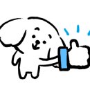 청플라워디자인학원