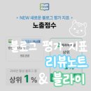 리뷰노트 노출점수 가이드 및 블라이 블로그 지수 무료 분석 후기