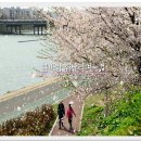 대구팔공초등학교 이미지