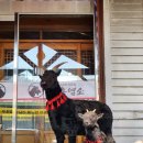 그린힐 앞 이미지