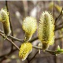 금강대중목욕탕 이미지