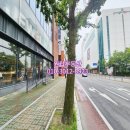 상남동233 이미지