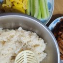 고라니김밥 이미지