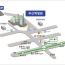 인제대학교부산백병원 네이버블로그