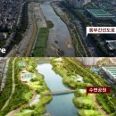간선-35 이미지