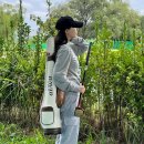 300골프 | 프리미엄 파크골프채 데이비드골프 DP300 리얼 라운딩 후기