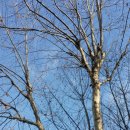 부천테크노파크 이미지