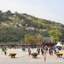 경기도 수원시 팔달구 인계로108번길 이미지