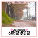 신평길 이미지