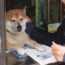 담배가게 이미지