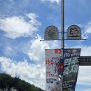 홍천아산병원 | 🌽 제30회 홍천 찰옥수수축제 생생 후기