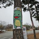 꼬까나무
