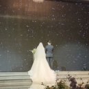 정스테이 이미지