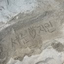 푸른마을 농수산 | 📍In Jeju (8/18~8/20)