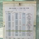신안 비금도 가는 법 암태남강선착장 배편 정보
