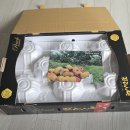 대황농장 | 반도원 대황도 후기