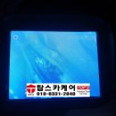 세종 자동차 이미지