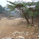 전곡공인중개사사무소 이미지